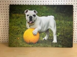 Custom Made Canvas Print w/ Your Photo
